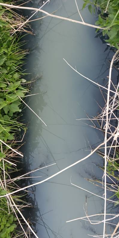 image003